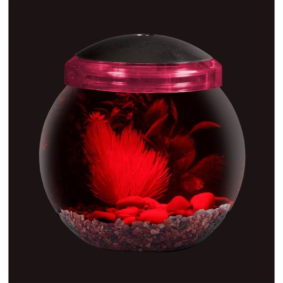 LED Fish Globe! - Picture 4 of 9